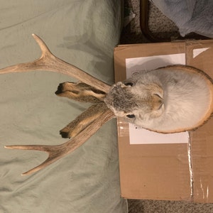 Summer added a photo of their purchase