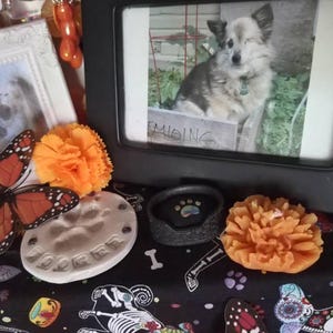 Nova added a photo of their purchase