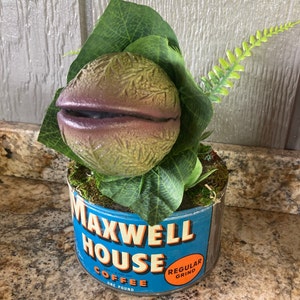Baby Audrey II Replica Prop Display From little Shop of Horrors - Etsy