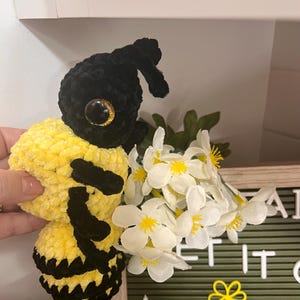 Shanda lade till en bild av sitt köp