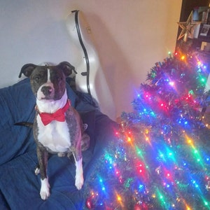 Emma added a photo of their purchase