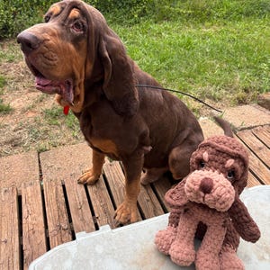 Caitlin added a photo of their purchase