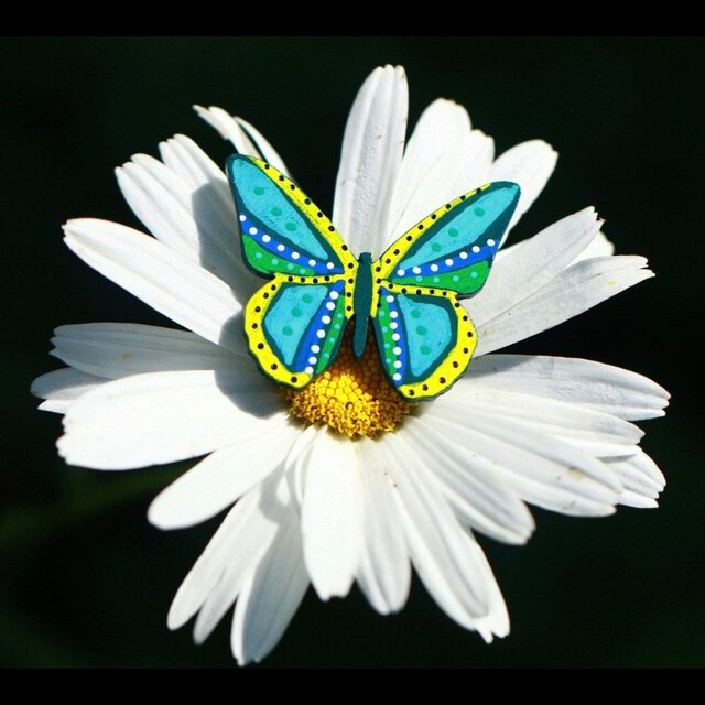 Fayth Sunnihgz added a photo of their purchase