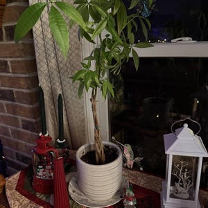 Christine added a photo of their purchase