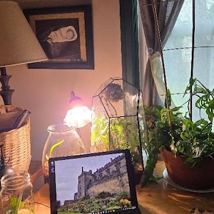 Mickie added a photo of their purchase