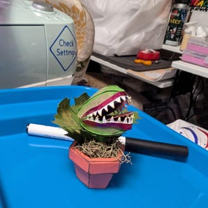 Etsy buyer added a photo of their purchase
