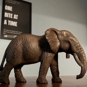 Duane lade till en bild av sitt köp