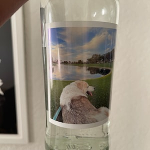 Rose added a photo of their purchase