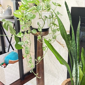 Micchan added a photo of their purchase
