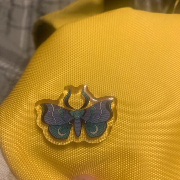 Pride Insects Pride Moth Pin (sexualities) | Acrylic Pin | Moth Pins | Insect Art ...