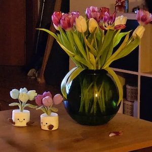YK added a photo of their purchase