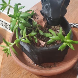 Bailey ha añadido una foto de su compra