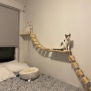 Pont Pour Chat De 3 Metres Etsy Pont Pour Chat De 3 Metres Etsy