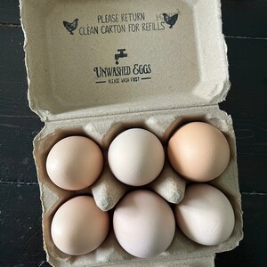Kate added a photo of their purchase