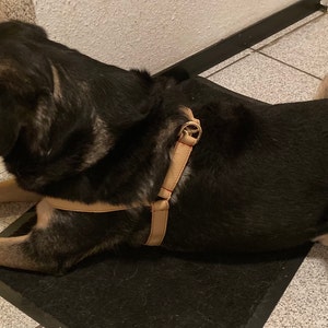 Dog Harness Leather Dog Harness Adjustable leather dog | Etsy