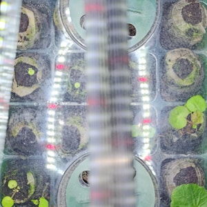 ANA added a photo of their purchase