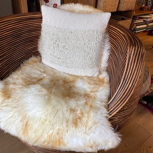 Paula added a photo of their purchase
