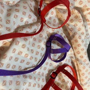 Mary added a photo of their purchase