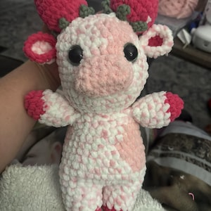 Emily added a photo of their purchase