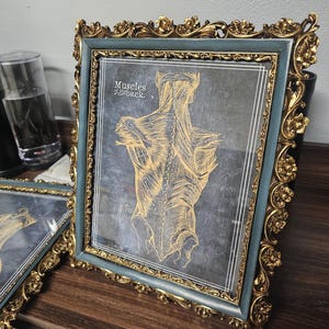 sallyann ha añadido una foto de su compra