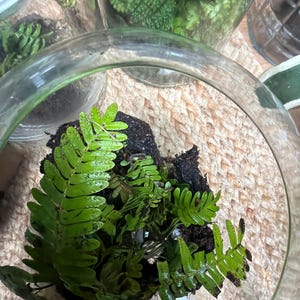 Gina added a photo of their purchase