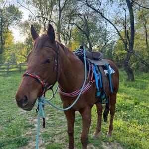 Custom Hand Braided Horse Tripping Collars - Etsy