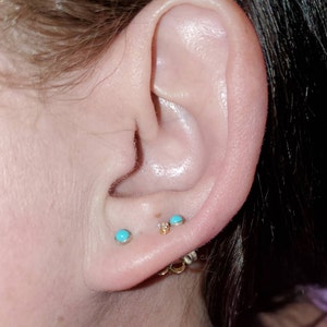 Molly added a photo of their purchase