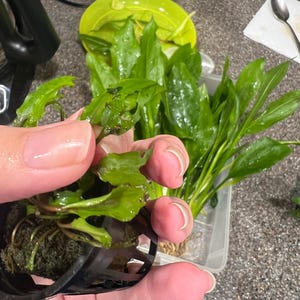 Beverly added a photo of their purchase