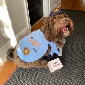 barkley & finn dog jacket