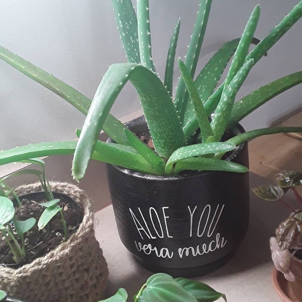 Aloe You Vera Much Plant Pot Vinyl Decal Aloe Vera Cute Pot Decal ...