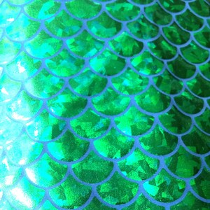 Mermaid Fabric Hologram Fish Scales Stretch Spandex - Etsy