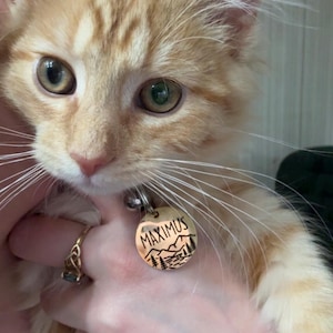 Krista added a photo of their purchase