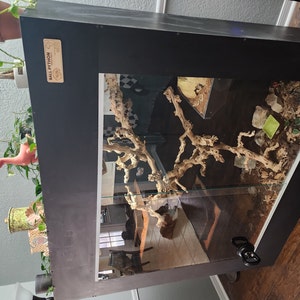 Alaina added a photo of their purchase