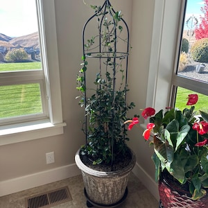 Rod added a photo of their purchase