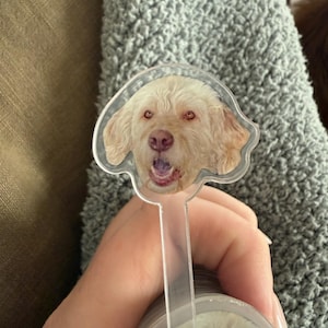 Macaulli added a photo of their purchase