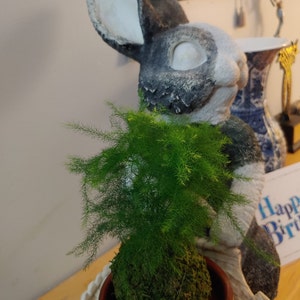 Acquirente Etsy ha aggiunto una foto del proprio acquisto