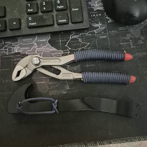 Lewis added a photo of their purchase