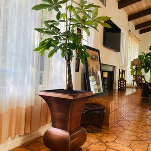 Cuenta inactiva ha añadido una foto de su compra