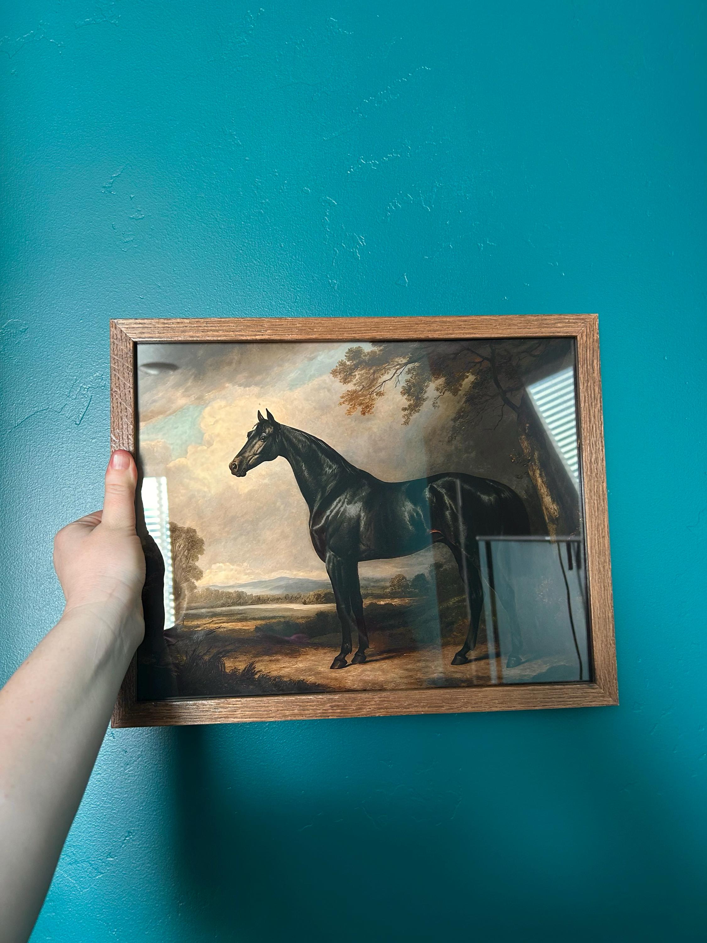 Customer photo — Black Horse Wall Art – Framed Equestrian Decor
