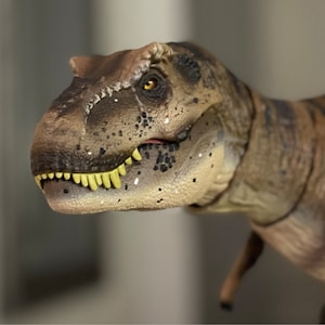 Lucas added a photo of their purchase