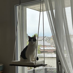 Claudia added a photo of their purchase
