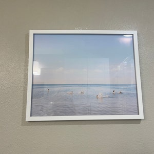 Laura added a photo of their purchase