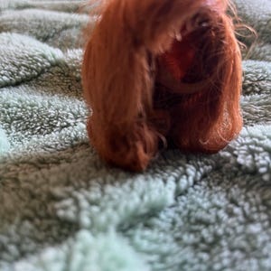 Lisa adicionaram uma foto da sua compra