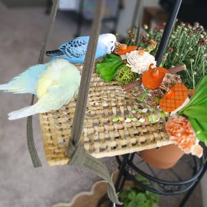 Jane added a photo of their purchase