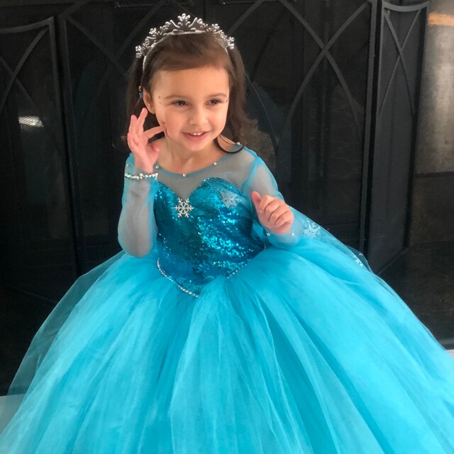 Frozen Elsa Costume Elsa Birthday Dress Halloween Costume Party Gown Etsy