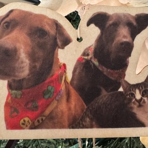 Etsy buyer added a photo of their purchase