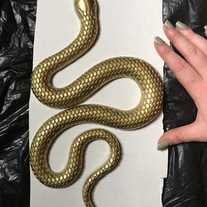Morgan added a photo of their purchase