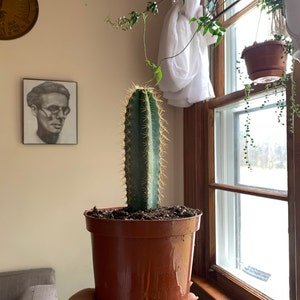 Belinda added a photo of their purchase