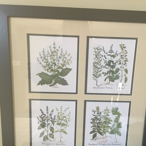 botanical herb prints set of 4 unframed botanical herb... Antique Herbs Print Set No. 29, Herb Prints, Vintage Botanical Art ...