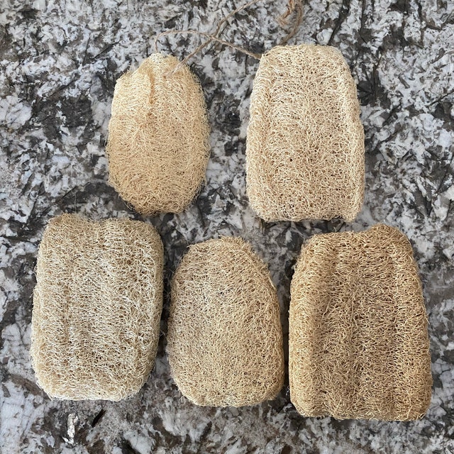 Natural loofah Wholesale loofah Organic loofah by OurForestFarm